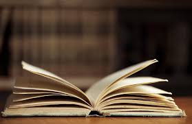 Books by Judy Gregerson